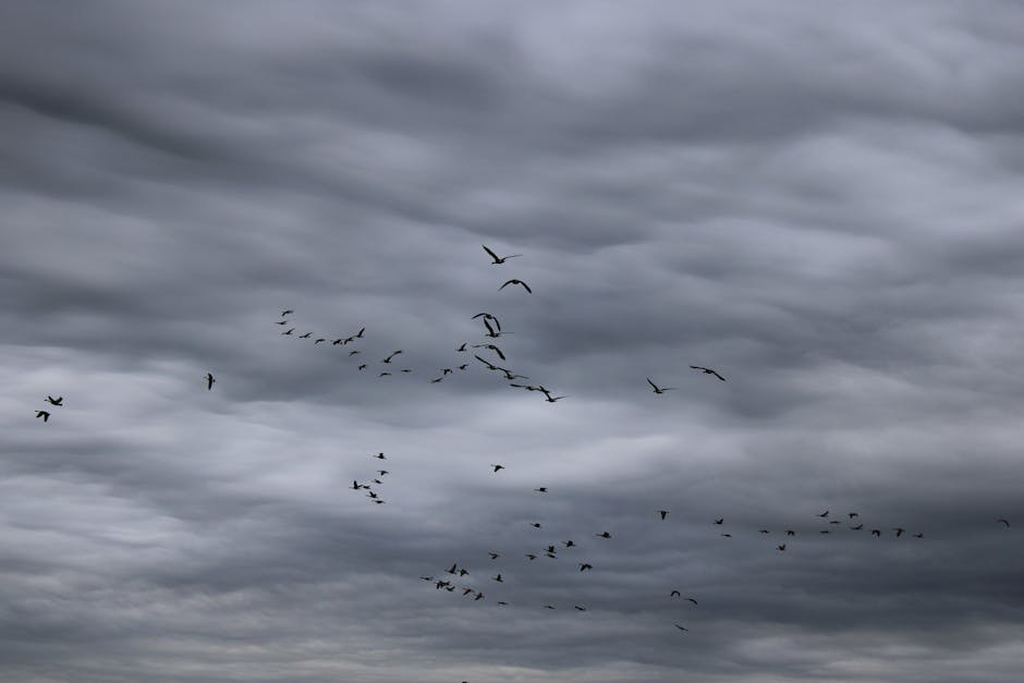 Cloud migration strategies for businesses